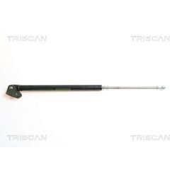 Dujinė spyruoklė, bagažinė TRISCAN 8710 43212