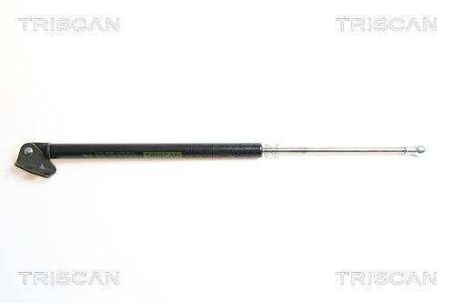 Dujinė spyruoklė, bagažinė TRISCAN 8710 43212