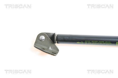 Dujinė spyruoklė, bagažinė TRISCAN 8710 43212
