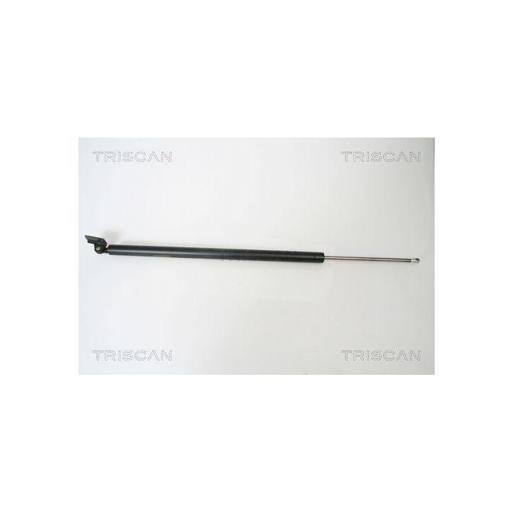 Dujinė spyruoklė, bagažinė TRISCAN 8710 43213