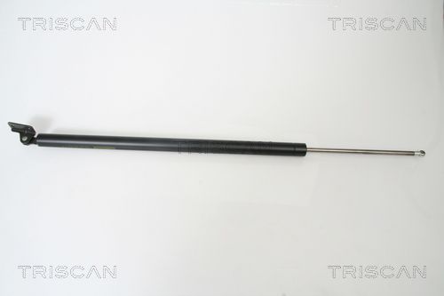 Dujinė spyruoklė, bagažinė TRISCAN 8710 43213