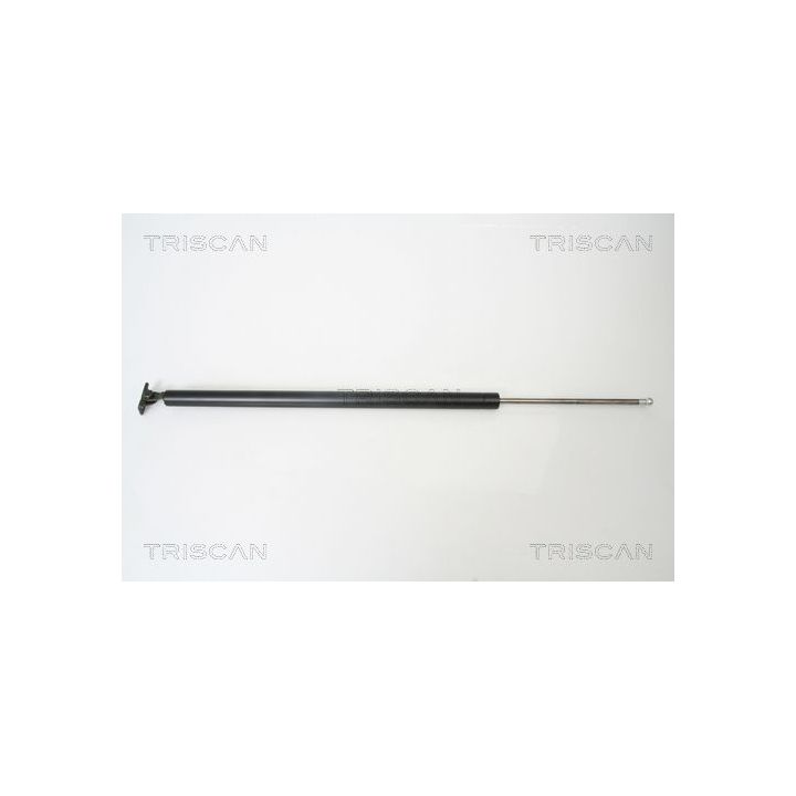 Dujinė spyruoklė, bagažinė TRISCAN 8710 43214