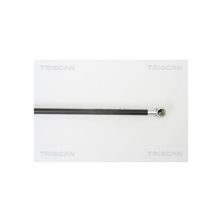 Dujinė spyruoklė, bagažinė TRISCAN 8710 43215