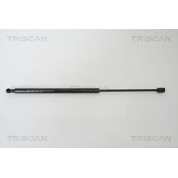 Dujinė spyruoklė, bagažinė TRISCAN 8710 43217