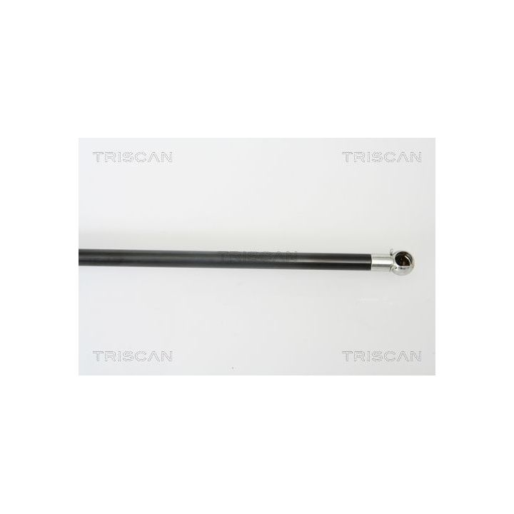 Dujinė spyruoklė, bagažinė TRISCAN 8710 43219