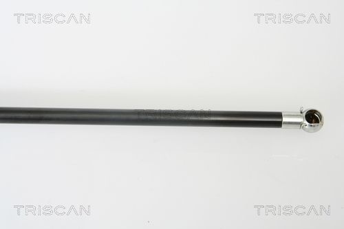Dujinė spyruoklė, bagažinė TRISCAN 8710 43219