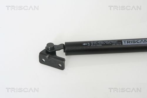 Dujinė spyruoklė, bagažinė TRISCAN 8710 43220