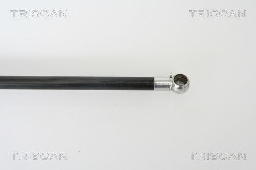 Dujinė spyruoklė, bagažinė TRISCAN 8710 43220