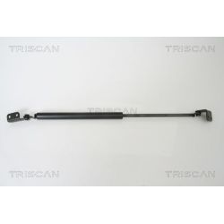 Dujinė spyruoklė, bagažinė TRISCAN 8710 43221