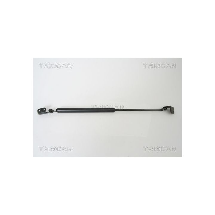 Dujinė spyruoklė, bagažinė TRISCAN 8710 43221