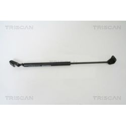 Dujinė spyruoklė, bagažinė TRISCAN 8710 43222