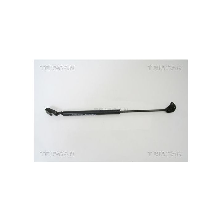 Dujinė spyruoklė, bagažinė TRISCAN 8710 43222