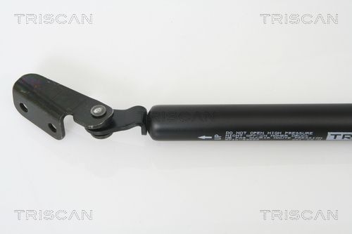 Dujinė spyruoklė, bagažinė TRISCAN 8710 43222