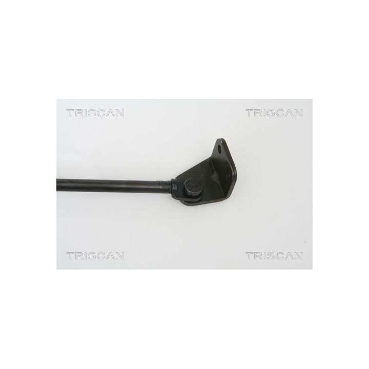 Dujinė spyruoklė, bagažinė TRISCAN 8710 43222