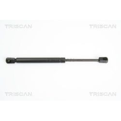 Dujinė spyruoklė, bagažinė TRISCAN 8710 43225