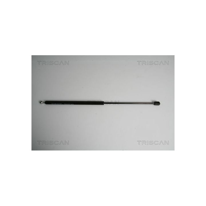 Dujinė spyruoklė, bagažinė TRISCAN 8710 43227