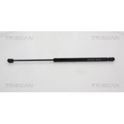 Dujinė spyruoklė, bagažinė TRISCAN 8710 43228