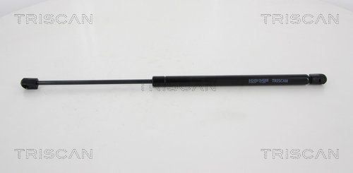 Dujinė spyruoklė, bagažinė TRISCAN 8710 43228