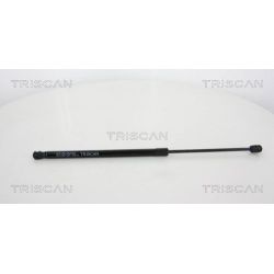 Dujinė spyruoklė, bagažinė TRISCAN 8710 43229