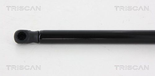 Dujinė spyruoklė, bagažinė TRISCAN 8710 43229