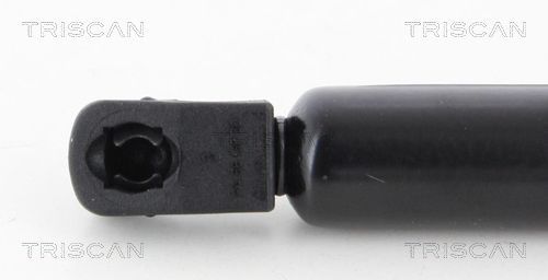 Dujinė spyruoklė, bagažinė TRISCAN 8710 43230