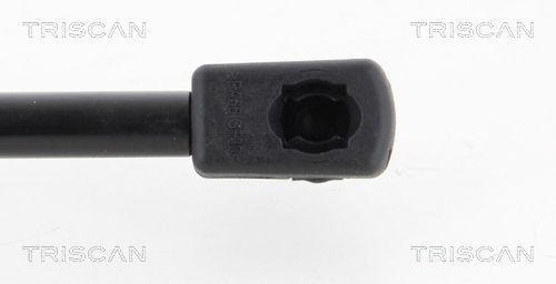 Dujinė spyruoklė, bagažinė TRISCAN 8710 43230
