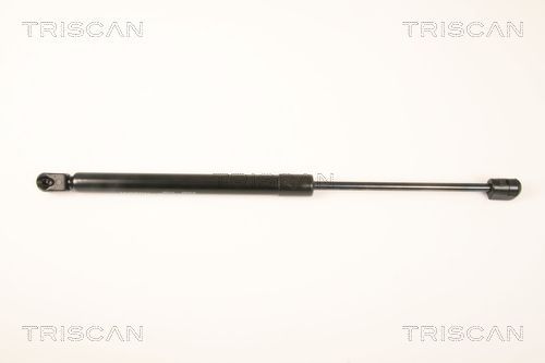 Dujinė spyruoklė, bagažinė TRISCAN 8710 43231