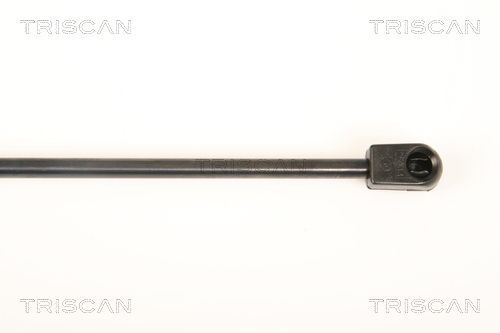 Dujinė spyruoklė, bagažinė TRISCAN 8710 43232