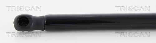 Dujinė spyruoklė, bagažinė TRISCAN 8710 43234