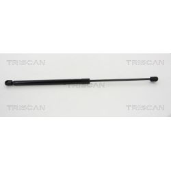 Dujinė spyruoklė, bagažinė TRISCAN 8710 43235