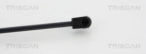 Dujinė spyruoklė, bagažinė TRISCAN 8710 43235