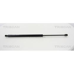 Dujinė spyruoklė, bagažinė TRISCAN 8710 43236