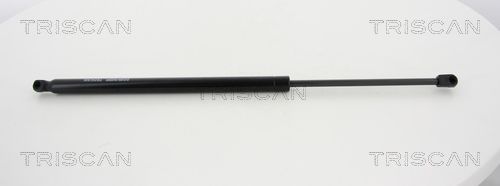 Dujinė spyruoklė, bagažinė TRISCAN 8710 43236