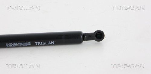 Dujinė spyruoklė, bagažinė TRISCAN 8710 43237