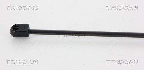 Dujinė spyruoklė, bagažinė TRISCAN 8710 43237