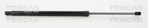 Dujinė spyruoklė, bagažinė TRISCAN 8710 43240