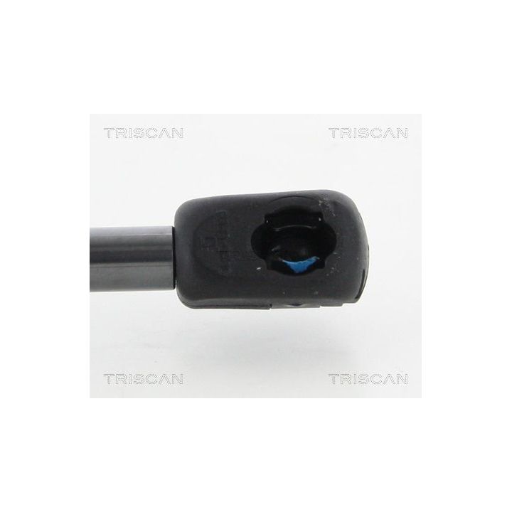 Dujinė spyruoklė, bagažinė TRISCAN 8710 43240