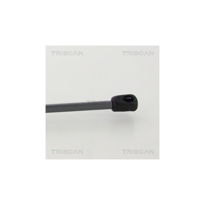 Dujinė spyruoklė, bagažinė TRISCAN 8710 43245