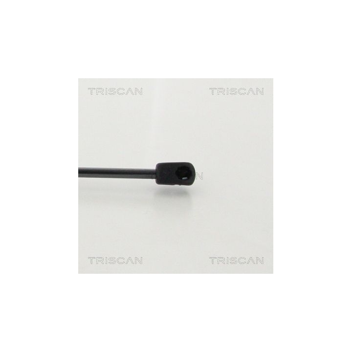 Dujinė spyruoklė, bagažinė TRISCAN 8710 43246