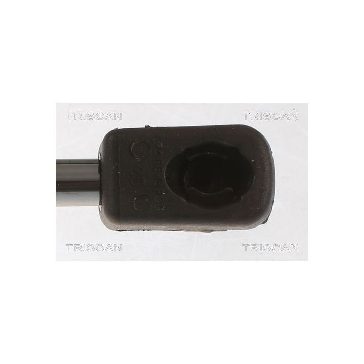 Dujinė spyruoklė, bagažinė TRISCAN 8710 43247