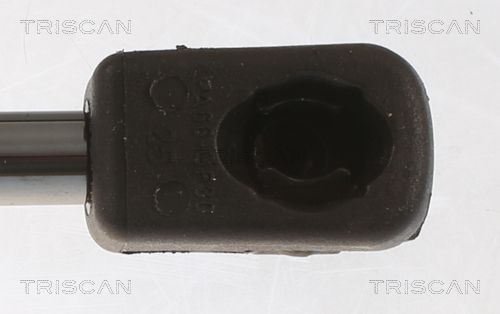 Dujinė spyruoklė, bagažinė TRISCAN 8710 43247