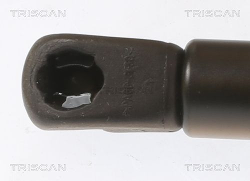 Dujinė spyruoklė, bagažinė TRISCAN 8710 43248