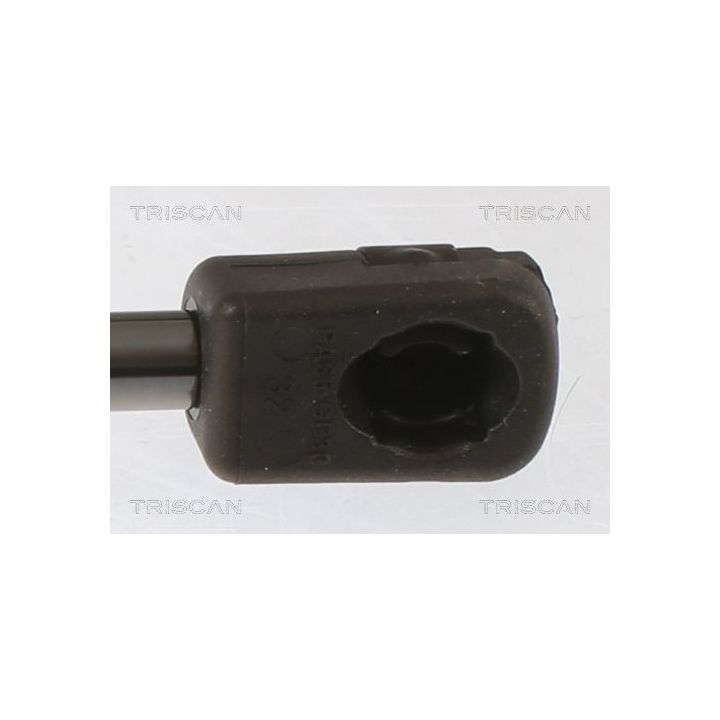 Dujinė spyruoklė, bagažinė TRISCAN 8710 43248