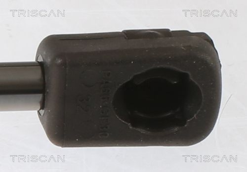 Dujinė spyruoklė, bagažinė TRISCAN 8710 43248