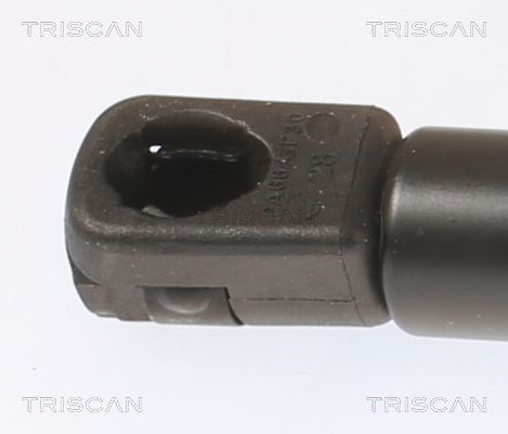 Dujinė spyruoklė, bagažinė TRISCAN 8710 43249