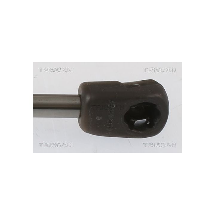 Dujinė spyruoklė, bagažinė TRISCAN 8710 43249