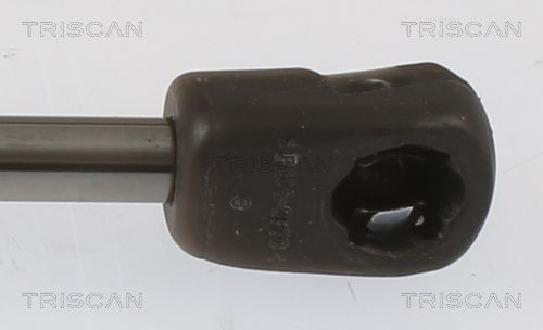 Dujinė spyruoklė, bagažinė TRISCAN 8710 43249