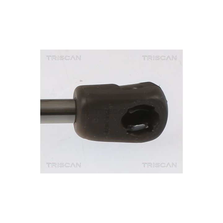 Dujinė spyruoklė, bagažinė TRISCAN 8710 43250