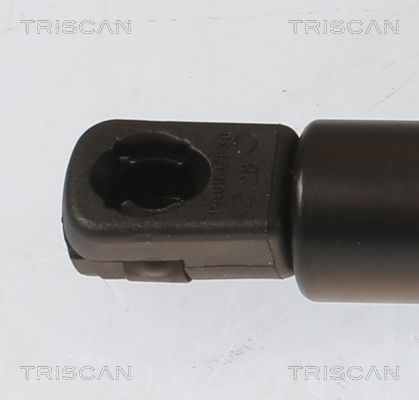 Dujinė spyruoklė, bagažinė TRISCAN 8710 43251