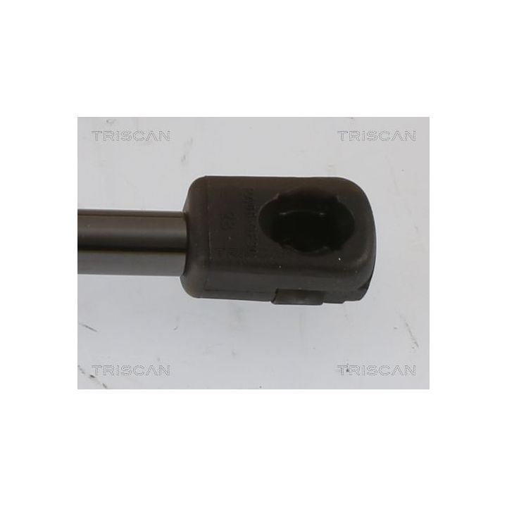 Dujinė spyruoklė, bagažinė TRISCAN 8710 43251